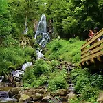 Marchal Hotell Le Hohwald