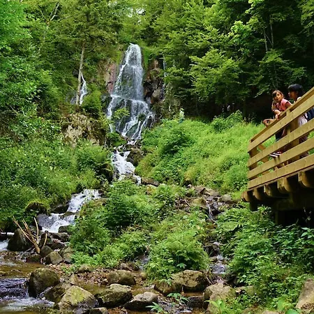 Marchal Hotel Le Hohwald