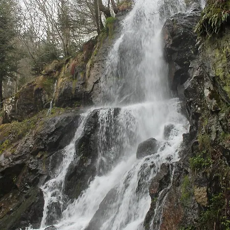 Отель Marchal Ле-Овальд