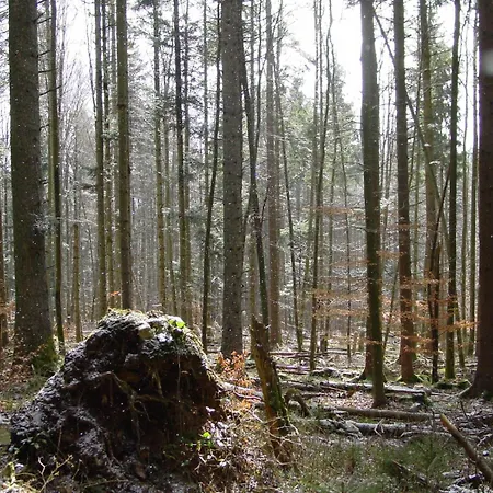 Marchal Hotel Le Hohwald