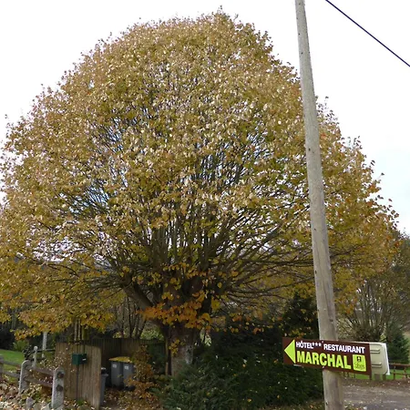 Hotel Marchal