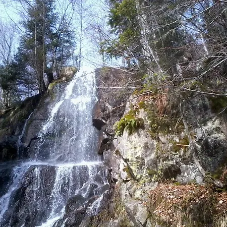 Marchal Le Hohwald