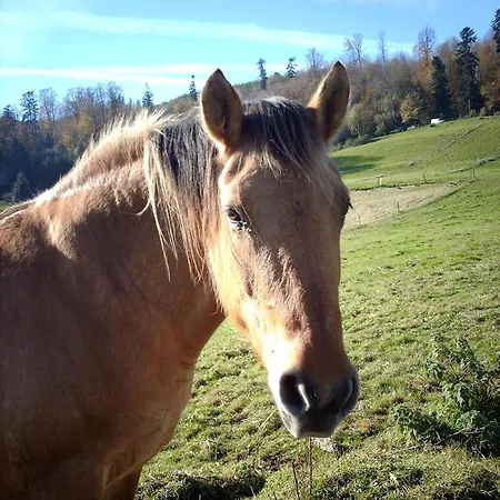 Marchal Отель 3*